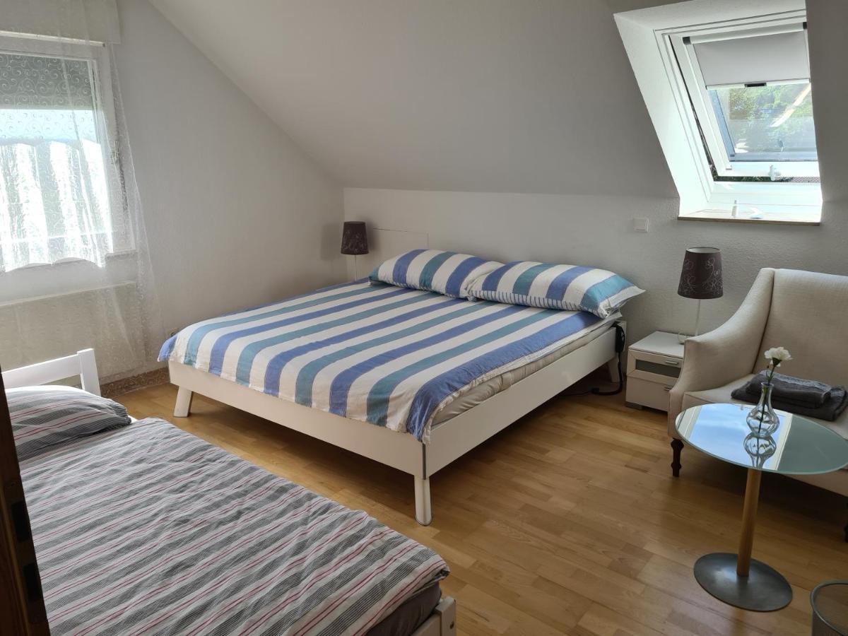Appartement Paradiso Busingen am Hochrhein Kültér fotó