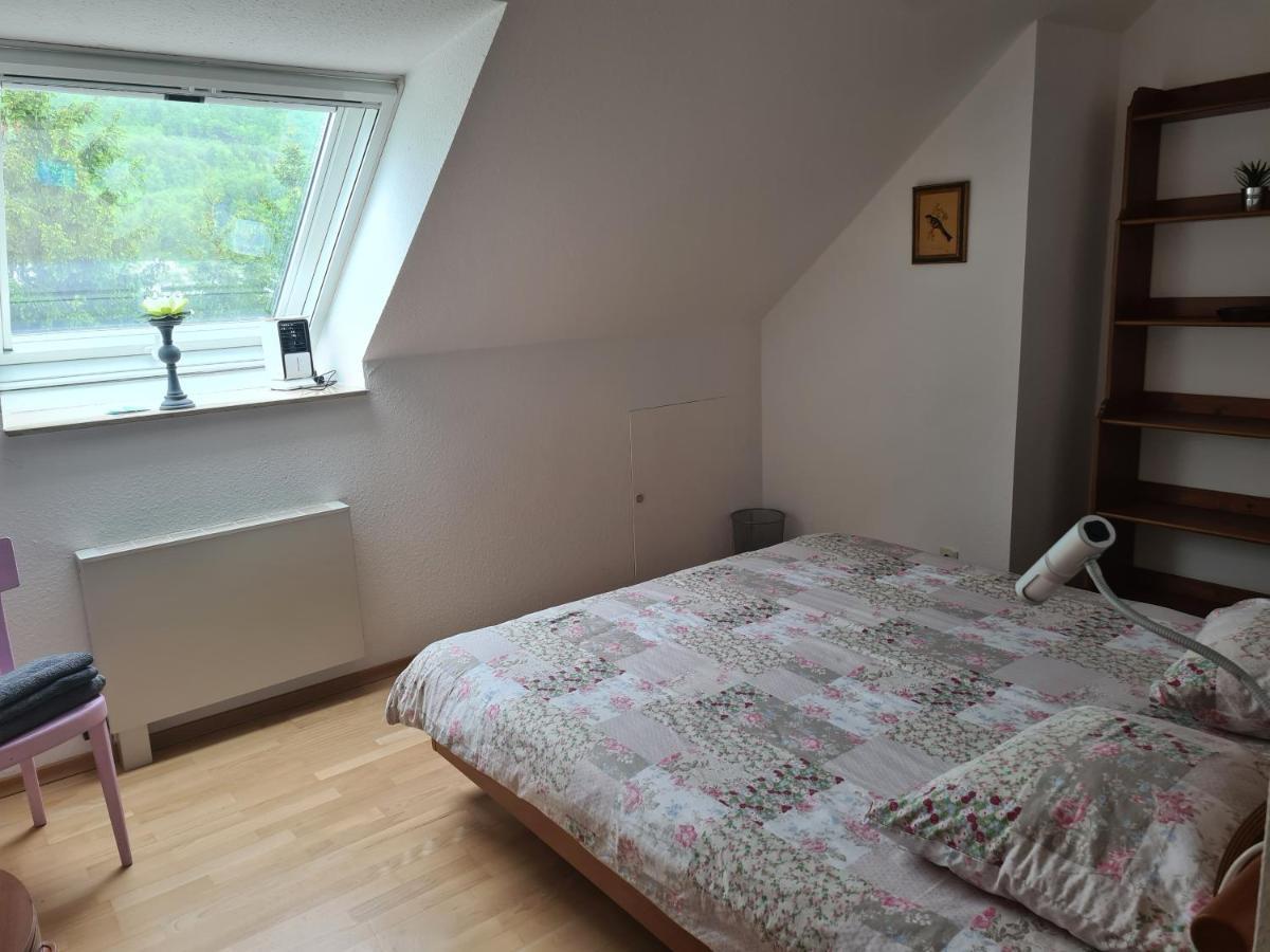 Appartement Paradiso Busingen am Hochrhein Kültér fotó
